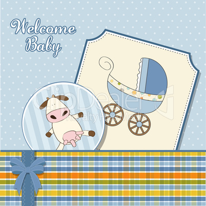 baby boy announcement card