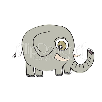 little cute elephant isolated on white background