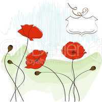 poppies floral background