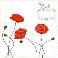 poppies floral background