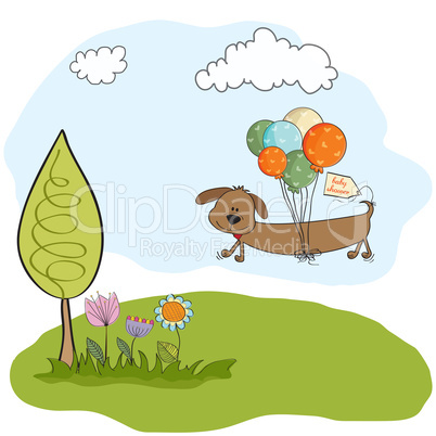 long dog and balloons