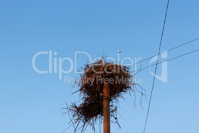nest of storks in village