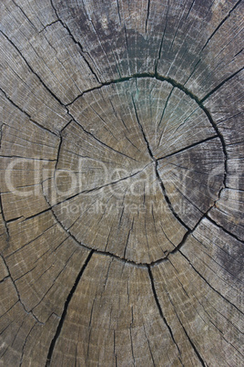 wooden dark background