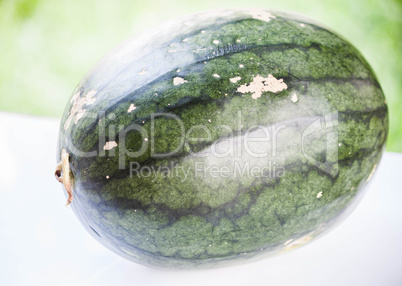 close up fresh green sweet water melon