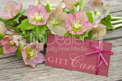 gift card