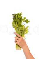 Celery bunch in a hand