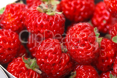 Ripe Red strawberries