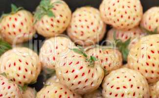 Ripe White strawberries, pineberries