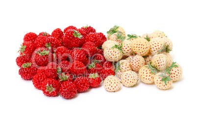 Ripe White and Red Strawberries