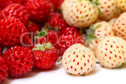 Ripe White and Red Strawberries