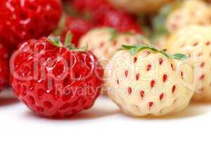 Ripe White and Red Strawberries