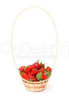 Ripe Red Strawberries in basket