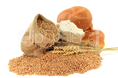 Raw Wheat Kernels, Flour, Wheatears and Whole Wheat Buns in Burlap Bags on White.