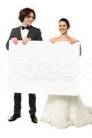 Advertise here for all your wedding needs