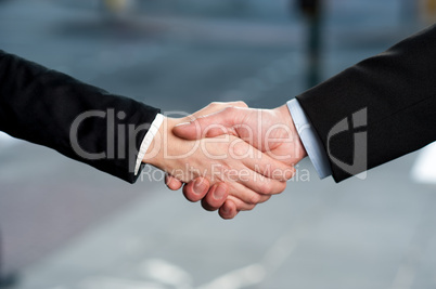 Business handshake, deal finalized