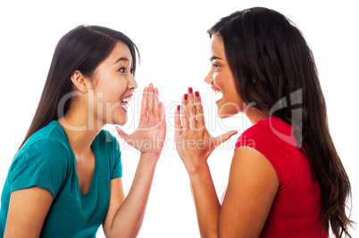 Two girls sharing their secrets