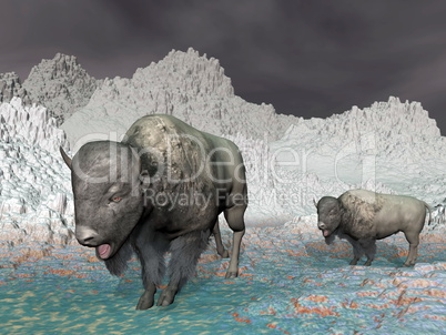 Bisons in the mountain - 3D render