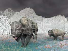 Bisons in the mountain - 3D render