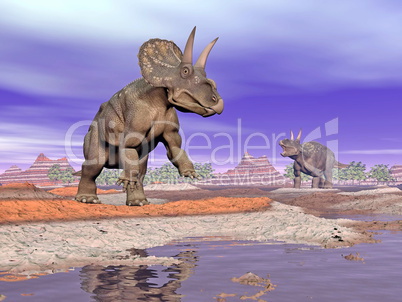 Diceratops dinosaurs in nature - 3D render
