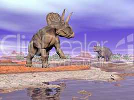 Diceratops dinosaurs in nature - 3D render