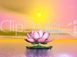 Lotus flower by sunset - 3D render