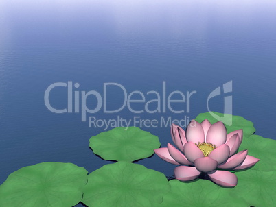 Lotus flower and leaves on water - 3D render