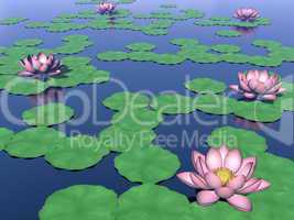 Lotus flowers and leaves on water - 3D render