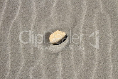 Stone on beach sand