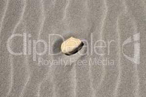 Stone on beach sand