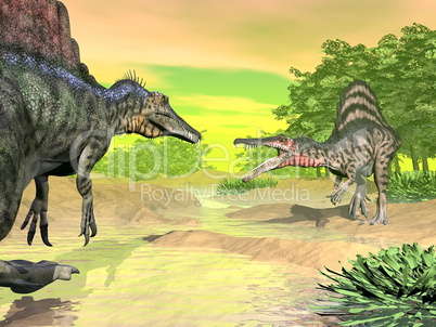 Spinosaurus dinosaurs fight - 3D render