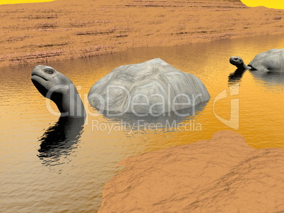 Galapgos tortoises in water - 3D render