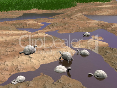 Galapgos tortoises relaxing - 3D render