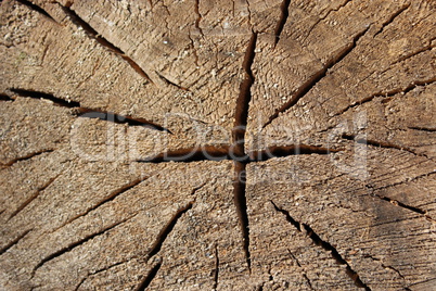 wooden dark background with cracks