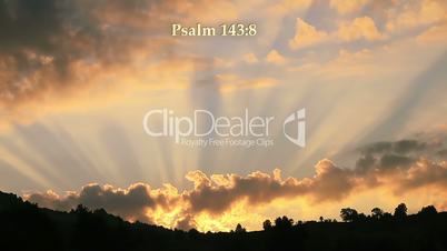 Psalm 143:8 Bible verse