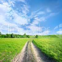 Country road in a field