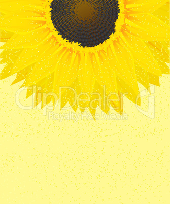 decorative sunflower graphic
