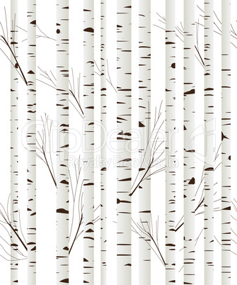 birchwood background