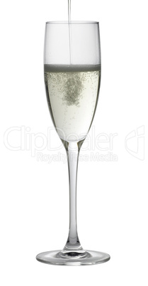 champagne glass while filling