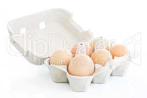 Six eggs on a carton box over white