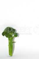brokoli mit schatten auf weiss portrait