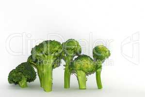 einzelne brokoli auf weiss