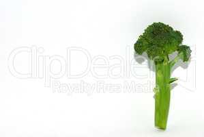 einzelner brokoli mit schatten auf weiss