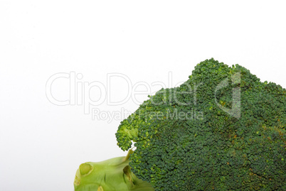grosser brokoli auf weiss