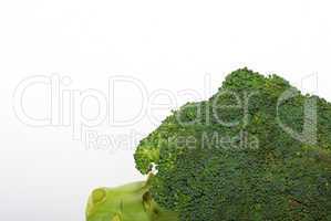 grosser brokoli auf weiss