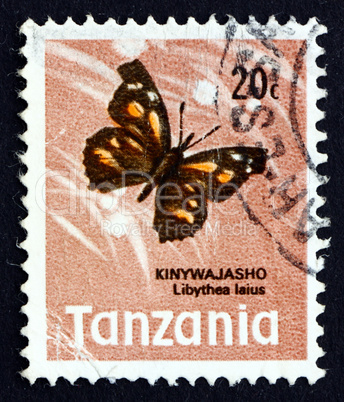 postage stamp tanzania 1973 african snout butterflay