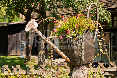 Watering can with flowers