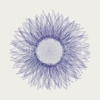 sunflower sketch design