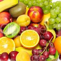 fruits and vegetables