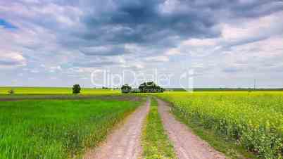 summer landscape