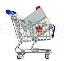Shopping Cart with house